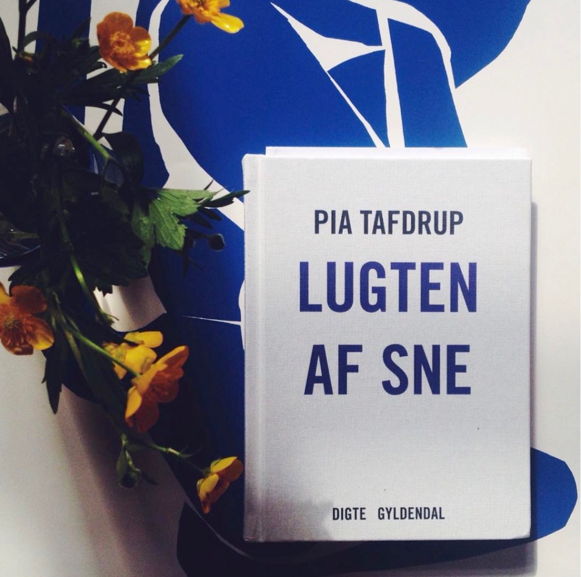 screen-shot-2016-10-06-at-17-04-47