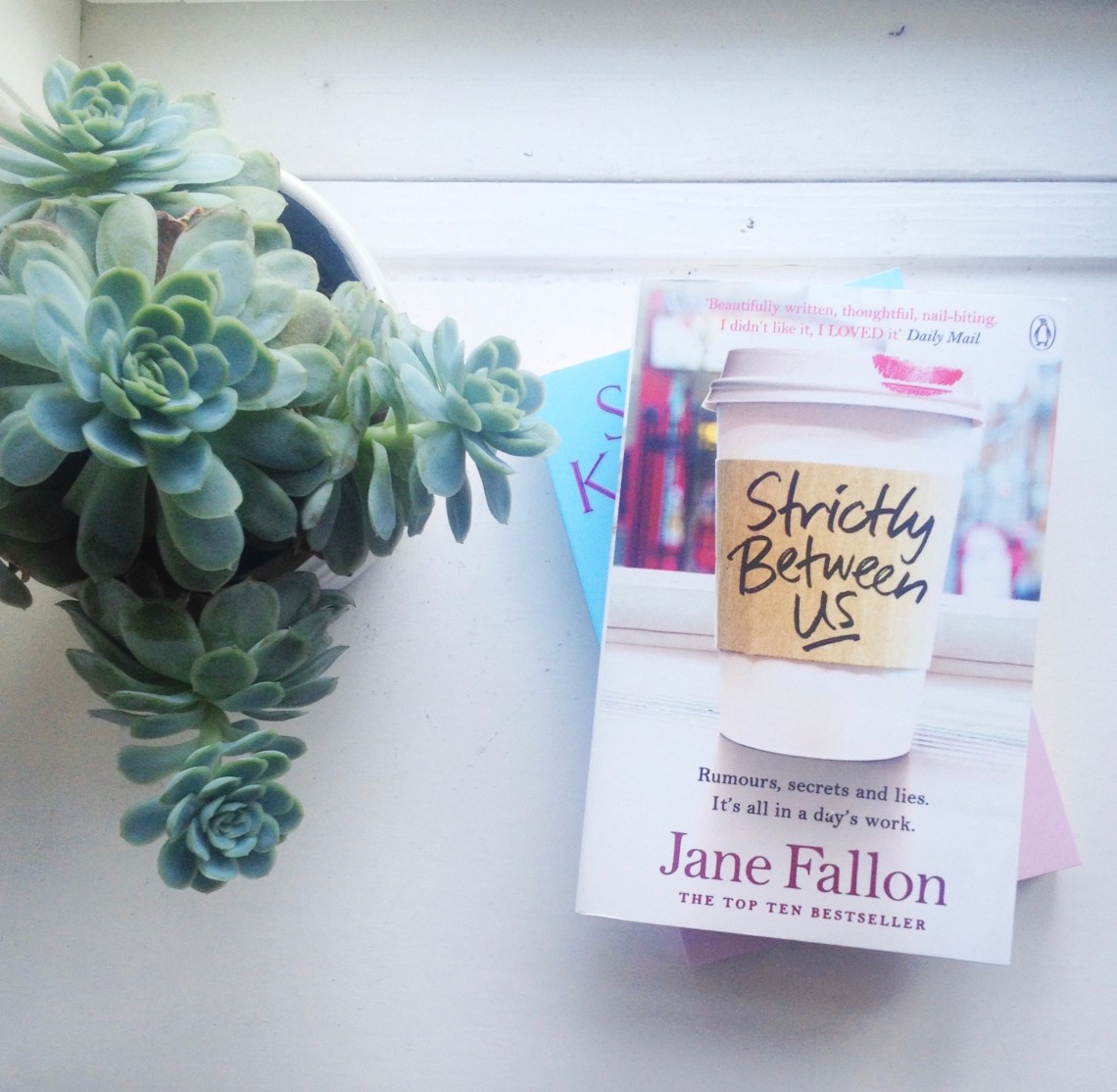En plantee og bogen Strictly Between Us af Jane Fallon ligger i en hvid vindueskarm