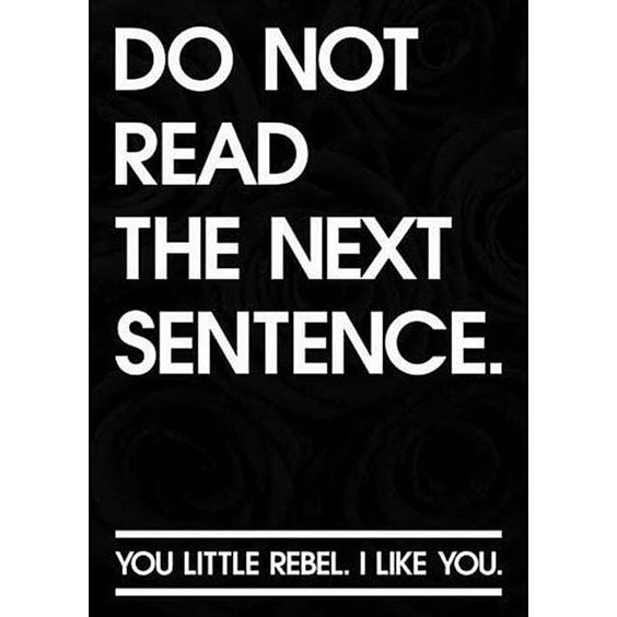 Et grafisk billede med en sort baggrund hvorpå der med hvide bogstaver står skrevet "Do not read the next sentence." og i bunden af billedet står så "you little rebel. I like you."
