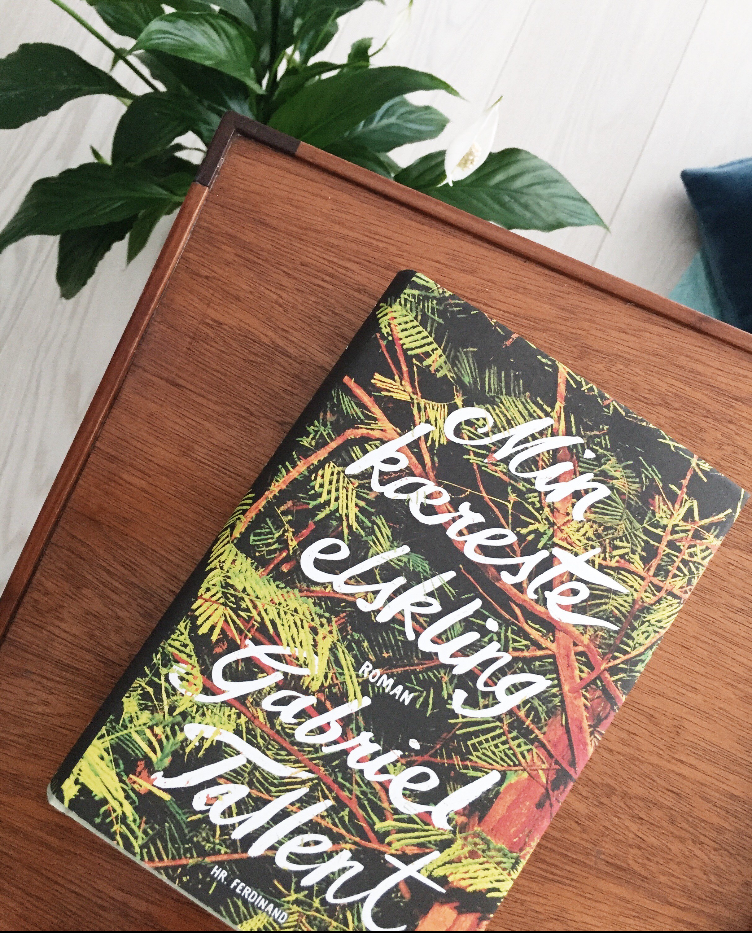 Et billede af romanen Min kæreste elskling af den amerikanske forfatter Gabriel Tallent