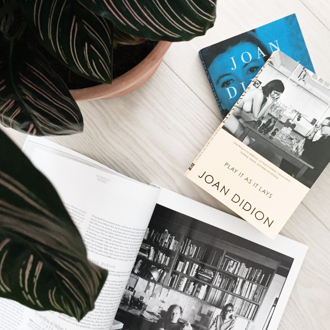 Joan Didion books bøger