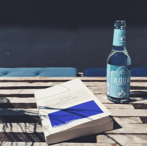 The book Too Much and Not the Mod af Durga Chew-Bose i Nordjylland med en danskvand fra Thy