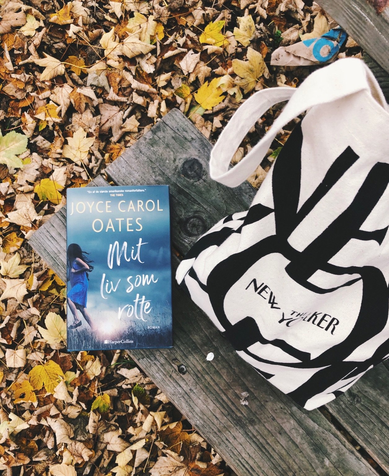 Mit liv som rotte af Joyce Carol Oates