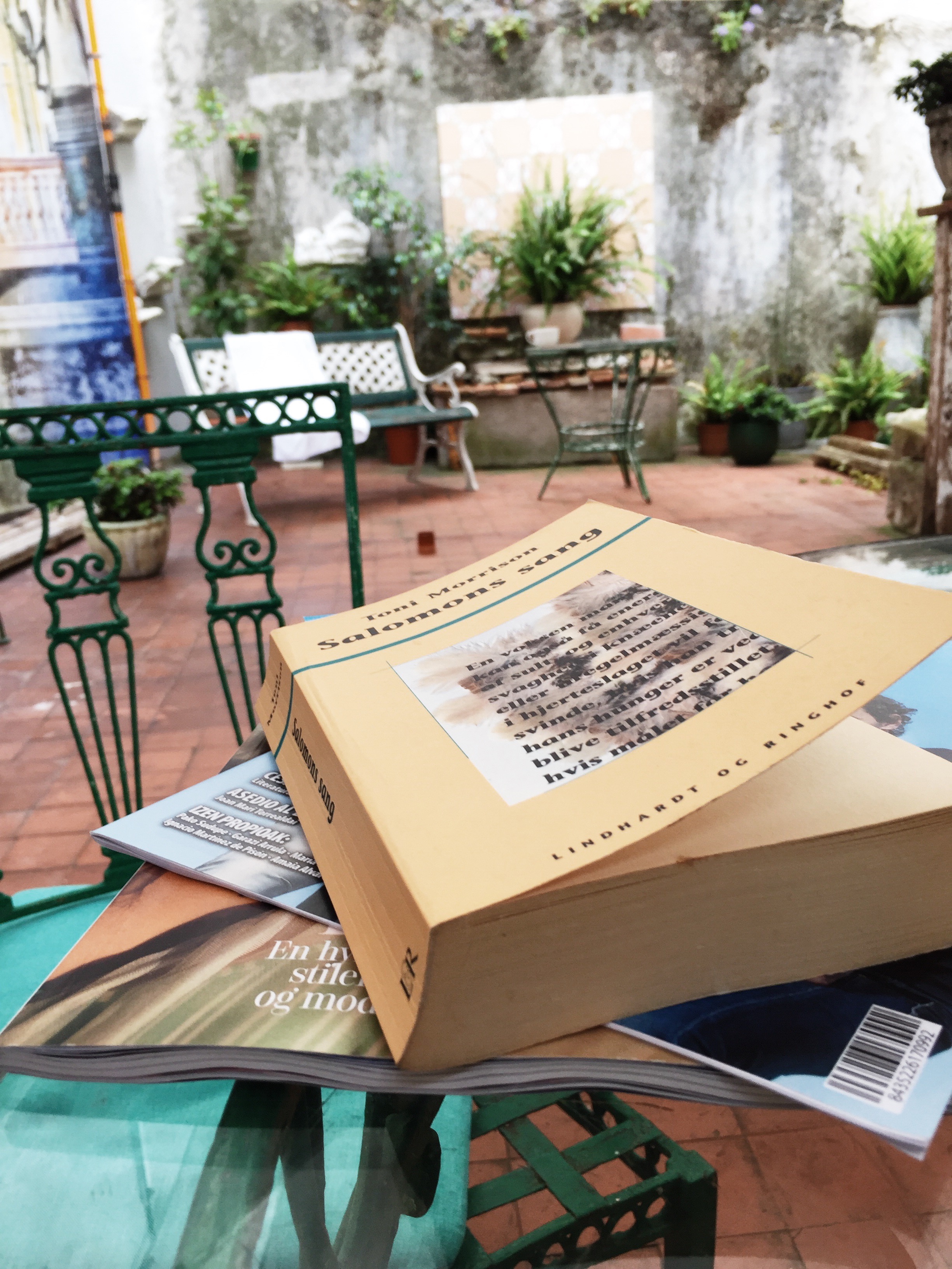 Et billede af bogen Salomons sang der er skrevet af Toni Morrison